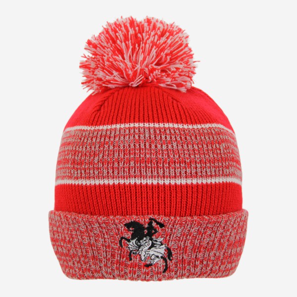 Dragons Blitz Beanie